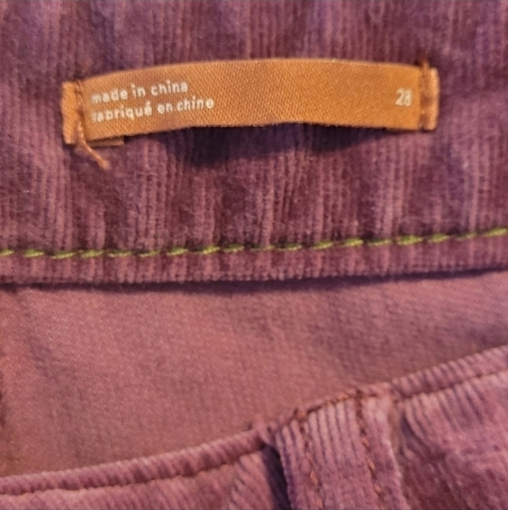 Anthropologie Pilcro and the letterpress High-Rise Skinny Ankle Courdory Pants - Picture 8 of 11